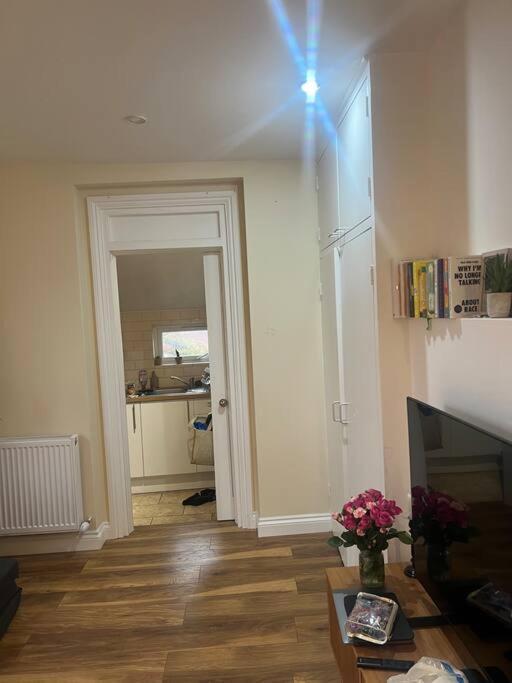 Large Modern Studio Flat Διαμέρισμα Λονδίνο Εξωτερικό φωτογραφία